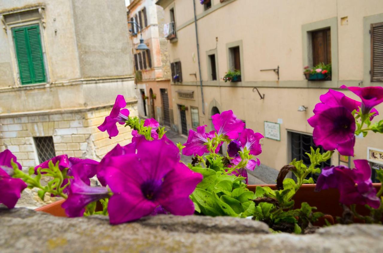 B&B Chiostro San Marco Tarquinia Eksteriør billede